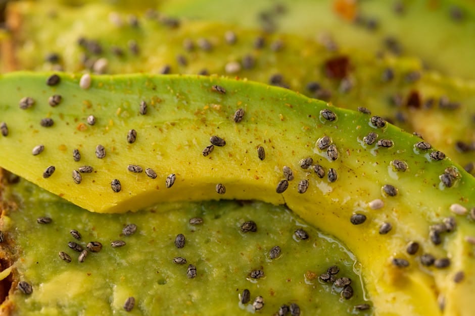 The 3 Types of Dietary Fats: What You Actually Need to Know