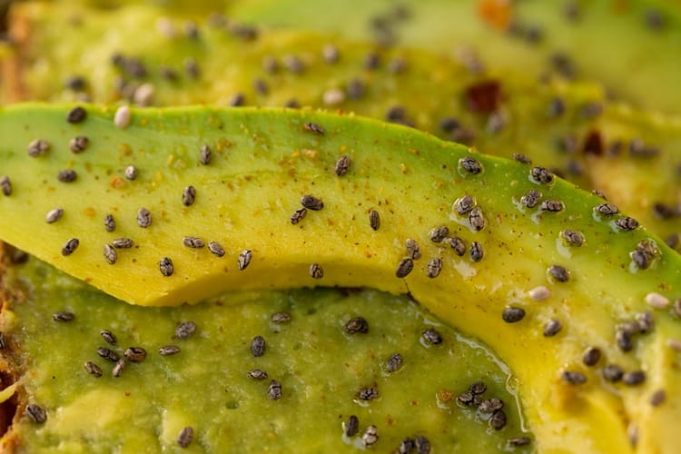 The 3 Types of Dietary Fats: What You Actually Need to Know