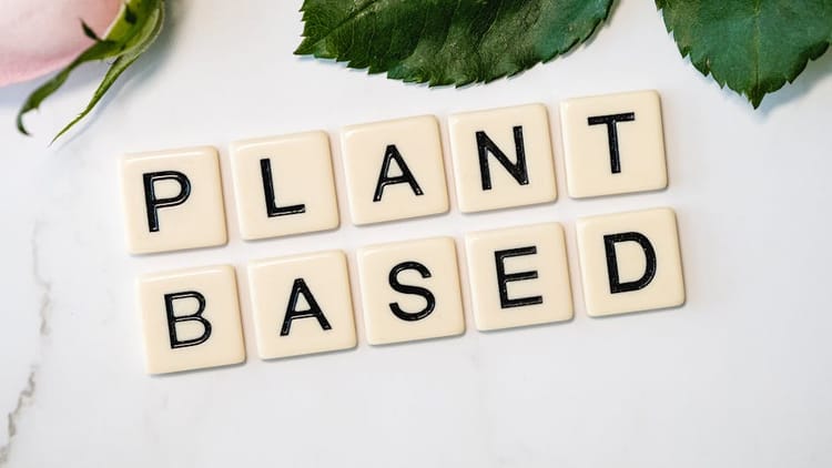 The Honest Pros and Cons of a Plant-Based Diet (2026)