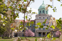Immaculata University logo