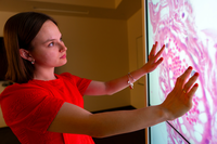 Texas A&M University logo