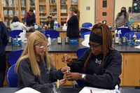 The University of Connecticut logo