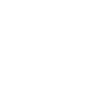 Washington State University-Spokane logo