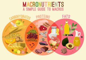 Read more about the article All About Macros in Nutrition
