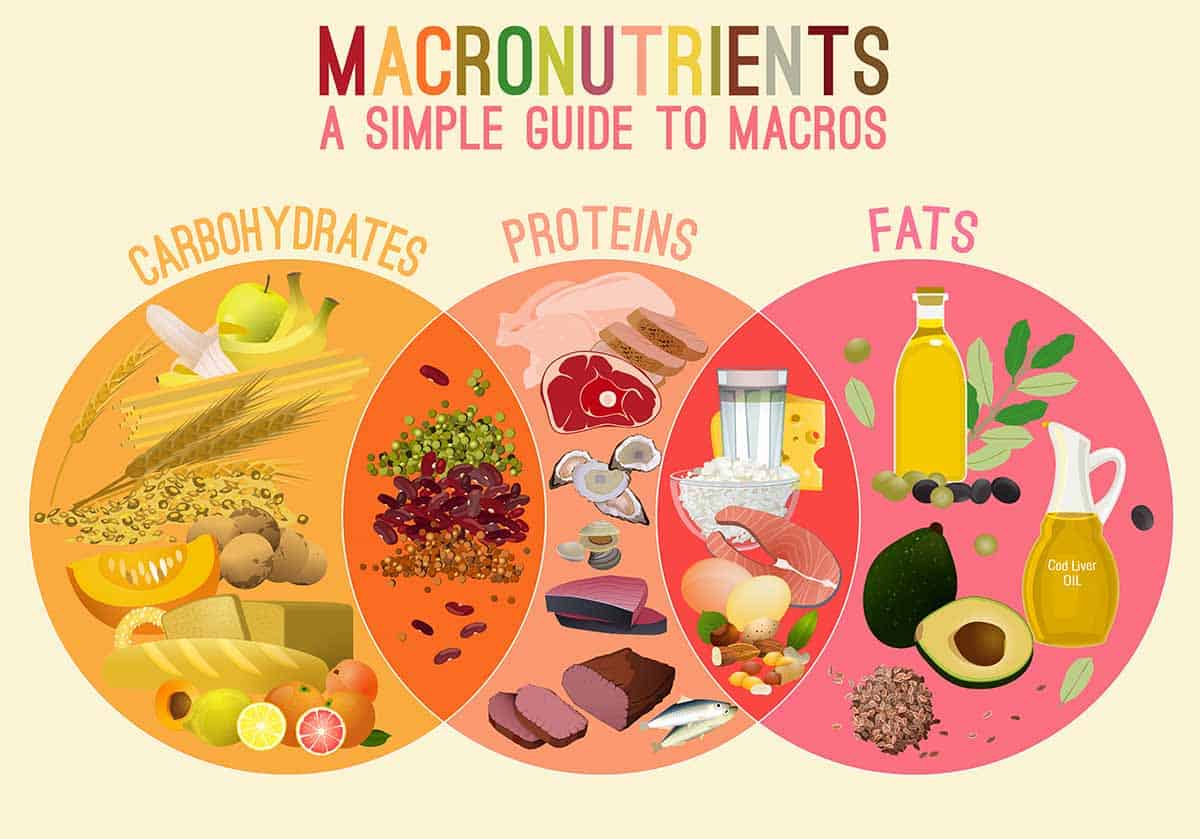 You are currently viewing All About Macros in Nutrition