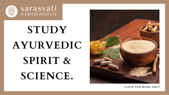 best ayurvedic nutrition certifications online - Sarasvati Ayurveda Institute- Foundations of Ayurveda and Ayurvedic Yoga Certification